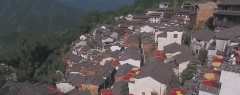 6997141db08af9c84452495535400844.gif